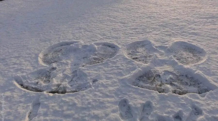 ¿Cómo hacer un Angel de Nieve?